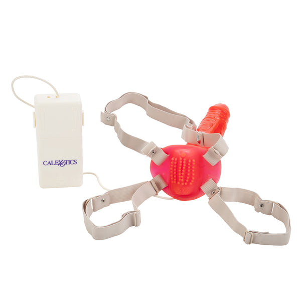 Betty&#39;s Jelly Bumble Bee Pink