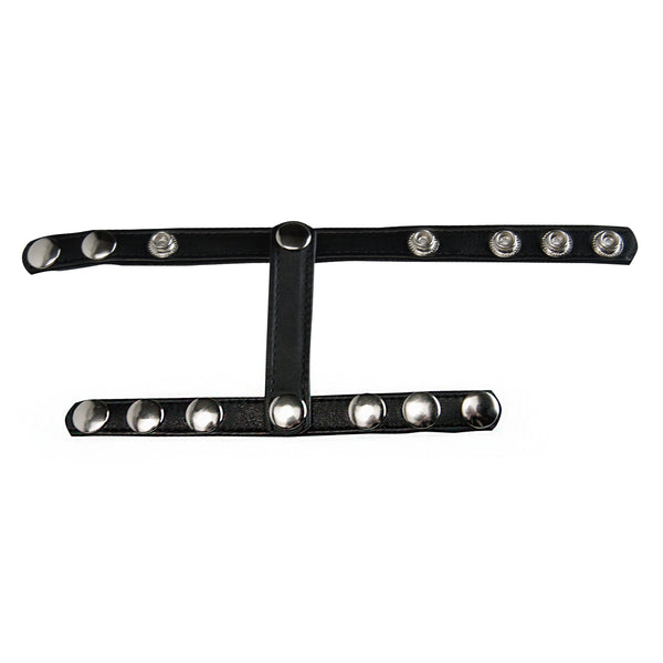 Strict Snap-On Cock And Ball Harness